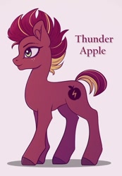 Size: 417x604 | Tagged: safe, artist:tanatos, oc, oc:thunder apple, earth pony, pony, earth pony oc, female, mare, offspring, parent:big macintosh, parent:tempest shadow, parent:tempestmac, simple background, solo, white background