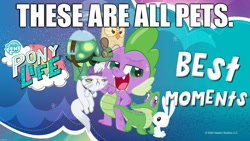 Size: 2048x1152 | Tagged: safe, angel bunny, gummy, opalescence, owlowiscious, spike, tank, alligator, bird, cat, dragon, owl, rabbit, tortoise, g4, g4.5, my little pony: pony life, animal, caption, go to sleep garble, image macro, implied spikeabuse, op is a duck, pet, shitposting, text, winged spike, wings