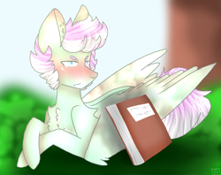 Size: 1462x1156 | Tagged: safe, artist:shinningblossom12, oc, oc only, oc:drawing, pegasus, pony, blushing, book, chest fluff, frown, grass, male, outdoors, pegasus oc, prone, solo, stallion, wings