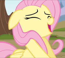Size: 1065x939 | Tagged: safe, screencap, fluttershy, pegasus, pony, g4, rainbow falls, season 4, cropped, cute, eyes closed, female, floppy ears, open mouth, out of context, outdoors, shyabetes, smiling, solo