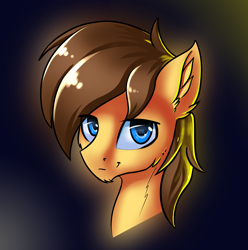 Size: 1742x1759 | Tagged: safe, artist:qbellas, oc, oc only, pony, bust, head, simple background, solo