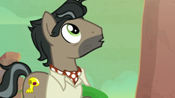 Size: 1920x1080 | Tagged: safe, screencap, doctor caballeron, earth pony, pony, daring doubt, g4, ascot tie, clothes, cute, cutealleron, male, shirt, solo, stallion