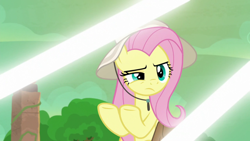 Size: 1920x1080 | Tagged: safe, screencap, fluttershy, pony, daring doubt, g4, female, solo