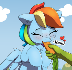 Size: 1880x1830 | Tagged: safe, artist:pabbley, part of a set, rainbow dash, oc, oc:anon, pegasus, pony, g4, blushing, carrot, cute, dashabetes, disembodied hand, eating, feeding, female, floating heart, food, hand, heart, herbivore, hooves to the chest, horses doing horse things, mare, offscreen character, offscreen human