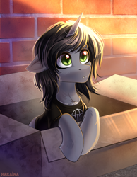 Size: 2300x2968 | Tagged: safe, artist:hakaina, pony, unicorn, box, bricks, cardboard box, clothes, commission, disguise, disguised siren, fangs, floppy ears, frown, high res, horn, jewelry, kellin quinn, looking at you, male, necklace, ponified, pony in a box, shirt, signature, sleeping with sirens, slit pupils, solo, stallion, t-shirt, ych result
