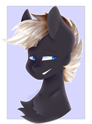 Size: 994x1329 | Tagged: safe, artist:shinningblossom12, oc, oc only, earth pony, pony, bust, chest fluff, earth pony oc, simple background, smiling, solo, transparent background