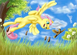 Size: 1920x1379 | Tagged: safe, artist:firefly_sunset, artist:piiec, edit, fluttershy, bird, pegasus, pony, g4, birds doing bird things, blue eyes, cattails, cloud, cloudy, flower, flying, grass, grass field, reeds, sky, tree