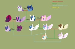 Size: 1280x835 | Tagged: safe, artist:y0m3, night light, pound cake, princess cadance, princess flurry heart, shining armor, tempest shadow, twilight sparkle, twilight velvet, oc, alicorn, pony, g4, family, family tree, female, lesbian, magical lesbian spawn, male, offspring, parent:pound cake, parent:princess cadance, parent:princess flurry heart, parent:shining armor, parent:tempest shadow, parent:twilight sparkle, parents:poundflurry, parents:shiningcadance, parents:tempestlight, ship:nightvelvet, ship:poundflurry, ship:shiningcadance, ship:tempestlight, shipping, straight, twilight sparkle (alicorn)