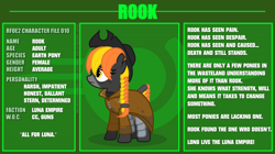 Size: 7140x4000 | Tagged: safe, artist:estories, oc, oc only, oc:rook (estories), earth pony, pony, g4, absurd resolution, clothes, female, hat, mare, reference sheet, solo