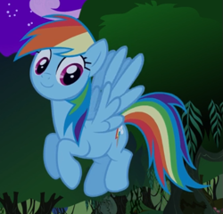 Size: 575x553 | Tagged: safe, screencap, rainbow dash, pegasus, pony, dragon quest, g4, cropped, cute, dashabetes, female, flying, mare, smiling, solo, wings