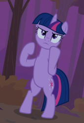 Size: 392x572 | Tagged: safe, screencap, twilight sparkle, pony, unicorn, dragon quest, g4, angry, bipedal, cropped, female, fighting stance, mare, solo, standing on two hooves, twilight sparkle is not amused, unamused, unicorn twilight