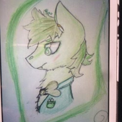 Size: 1080x1080 | Tagged: safe, artist:olyaandspid, oc, oc only, earth pony, pony, bust, clothes, earth pony oc, solo, traditional art