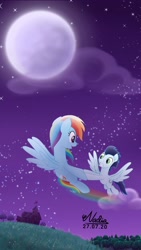 Size: 1280x2276 | Tagged: safe, artist:nadiakaizane, rainbow dash, soarin', pegasus, pony, g4, female, flying, male, mare, movie accurate, night, ship:soarindash, shipping, stallion, straight