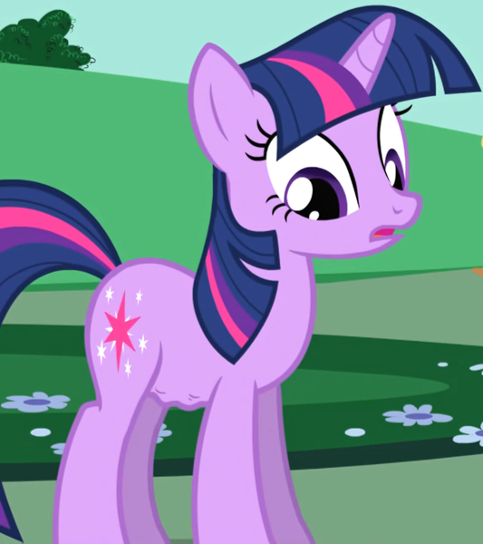twilight sparkle pony