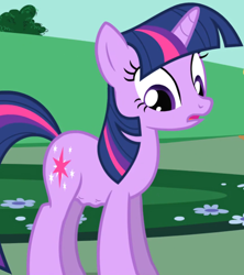 Size: 1348x1517 | Tagged: safe, screencap, twilight sparkle, pony, unicorn, g4, the ticket master, belly, cropped, female, hungry, mare, solo, stomach growl, stomach noise, unicorn twilight