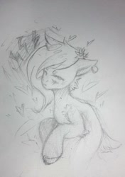 Size: 537x763 | Tagged: safe, artist:kiwwsplash, oc, oc only, earth pony, pony, ear piercing, earth pony oc, flower, flower in hair, grayscale, lineart, monochrome, piercing, solo, traditional art