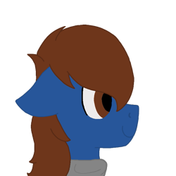 Size: 673x673 | Tagged: safe, artist:derpy_the_duck, oc, oc only, oc:derp, earth pony, pony, clothes, male, simple background, smiling, solo, stallion, transparent background