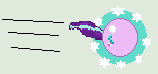 Size: 158x74 | Tagged: safe, artist:jadeharmony, starlight glimmer, pony, unicorn, g4, ball, crossover, female, glimmerball, levitation, magic, male, mare, motion lines, picture for breezies, pixel art, rolling, self-levitation, simple background, solo, sonic the hedgehog, sonic the hedgehog (series), spin dash, telekinesis