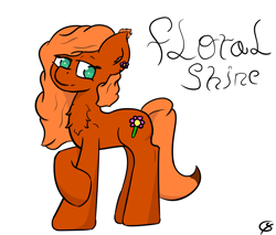 Size: 1464x1245 | Tagged: safe, artist:gamer-shy, oc, oc:floral shine, fox, fox pony, hybrid, original species, fluffy, orange fur, simple background, white background