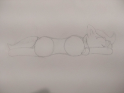 Size: 4000x3000 | Tagged: safe, artist:barpy, oc, oc only, earth pony, pony, happy, lying on the ground, prone, resting, simple background, sketch, solo, traditional art