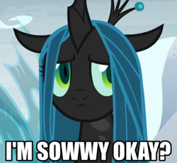 Size: 584x535 | Tagged: safe, edit, edited screencap, screencap, queen chrysalis, changeling, changeling queen, pony, frenemies (episode), g4, season 9, a better ending for chrysalis, adorable distress, adorkable, alternate ending, alternate scenario, alternate universe, anxiety, apology, awkward, baby talk, breakdown, caption, character development, cropped, cute, cutealis, dialogue, dork, dorkalis, faic, female, frown, good end, image macro, impact font, insecure, looking at you, majestic as fuck, mare, meta, nervous, precious, reaction image, redemption, reformed, regret, sad, sadorable, shy, silly, silly pony, solo, sorry, spread wings, standing, talking, text, what if, wings, worried
