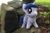 Size: 5184x3456 | Tagged: artist needed, safe, photographer:sometwifag, twilight sparkle, alicorn, pony, g4, female, irl, outdoors, photo, plushie, rock, starry eyes, twilight sparkle (alicorn), wingding eyes