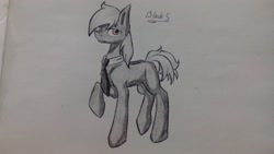 Size: 2560x1440 | Tagged: artist needed, source needed, safe, oc, oc only, oc:silver bristle, earth pony, pony, cutie mark, looking at you, male, missing accessory, missing cutie mark, necktie, paper, photo, raised hoof, solo, stallion, traditional art