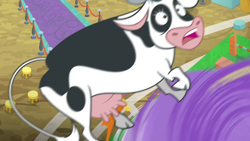 Size: 1920x1080 | Tagged: safe, screencap, bloofy, cow, g4, growing up is hard to do, this will end in death, this will end in tears, this will end in tears and/or death, udder