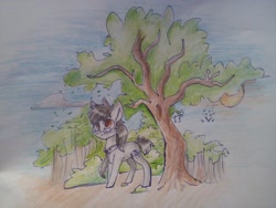 Size: 2560x1920 | Tagged: artist needed, source needed, safe, oc, oc only, oc:silver bristle, earth pony, pony, cloud, cutie mark, glasses, male, necktie, outdoors, photo, sky, solo, stallion, traditional art, tree