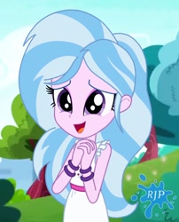 Size: 850x1050 | Tagged: safe, artist:rjp.rammy, silverstream, equestria girls, g4, blue hair, bracelet, clothes, cute, diastreamies, dress, equestria girls-ified, female, jewelry, outdoors, solo, tree