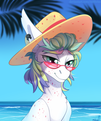 Size: 2500x3000 | Tagged: safe, artist:mithriss, oc, oc only, pony, bust, hat, high res, ocean, solo