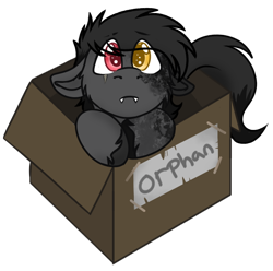 Size: 564x559 | Tagged: safe, alternate character, alternate version, artist:rokosmith26, part of a set, oc, oc only, oc:minx, bat pony, pony, box, cheek fluff, chibi, colored, colt, cute, eye clipping through hair, floppy ears, heterochromia, hoof fluff, looking at you, male, markings, puppy dog eyes, roko's box ponies, short hair, short mane, simple background, solo, tail, teeth, text, tooth, transparent background