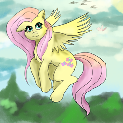 Size: 2000x2000 | Tagged: safe, artist:ponkersetfan01, fluttershy, pony, g4, cute, flying, high res