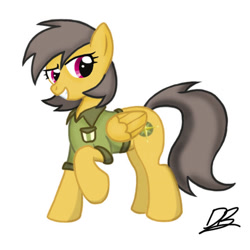 Size: 648x648 | Tagged: safe, artist:divebomb5, daring do, pony, g4, alternate hairstyle, clothes, female, shirt, smiling, solo