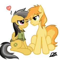 Size: 432x432 | Tagged: safe, artist:divebomb5, braeburn, daring do, earth pony, pony, g4, blushing, braedo, clothes, digital art, hatless, heart, male, missing accessory, no clothes, one eye closed, shipping, shirt, simple background, smiling, stallion, transparent background