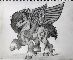 Size: 1794x1456 | Tagged: safe, artist:reekosukanku, oc, oc only, oc:velvet dusk, pegasus, pony, male, solo, stallion, traditional art