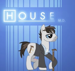 Size: 768x727 | Tagged: artist needed, safe, earth pony, pony, g4, crossover, gregory house, house m.d., male, ponified, stallion