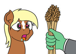 Size: 1200x850 | Tagged: safe, artist:mkogwheel, oc, oc:anon, earth pony, pony, drool, food, heart eyes, herbivore, horses doing horse things, oats, ponified, simple background, tongue out, verity, white background, wingding eyes