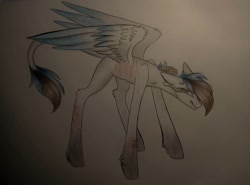 Size: 1080x801 | Tagged: safe, artist:_quantumness_, oc, oc only, pegasus, pony, leonine tail, pegasus oc, scar, solo, sombra eyes, traditional art, wings