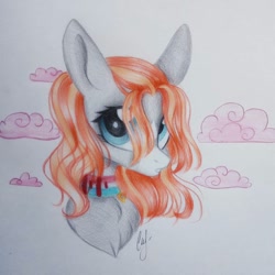 Size: 1080x1080 | Tagged: safe, artist:_quantumness_, oc, oc only, earth pony, pony, bust, cloud, collar, earth pony oc, eyelashes, signature, solo, traditional art