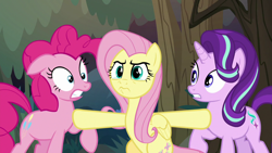 Size: 1280x720 | Tagged: safe, screencap, fluttershy, pinkie pie, starlight glimmer, pegasus, pony, g4, the mean 6, angrily upset, angry, everfree forest, hoof on chest, hoof touching, looking at someone, raised hoof, shocked, shocked expression, trio focus, upset