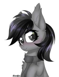 Size: 1516x1955 | Tagged: safe, artist:mint-light, oc, oc only, earth pony, pony, blushing, bust, chest fluff, clothes, commission, ear fluff, earth pony oc, scarf, simple background, smiling, solo, transparent background, ych result