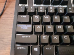 Size: 960x720 | Tagged: safe, canterlock, caps lock, irl, keyboard, no pony, photo, traditional royal canterlot voice