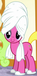 Size: 646x1315 | Tagged: safe, screencap, cherry berry, pony, applejack's "day" off, g4, my little pony: friendship is magic, clothes, cropped, female, slippers, solo, spa, towel, towel on head