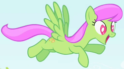 Size: 2014x1125 | Tagged: safe, screencap, merry may, pegasus, pony, g4, lesson zero, background pony, cropped, cute, female, heart, heart eyes, merrybetes, solo, that incredible amazing doll, wingding eyes