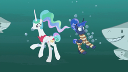 Size: 1920x1080 | Tagged: safe, screencap, princess celestia, princess luna, alicorn, great white shark, pony, shark, between dark and dawn, g4, alternate hairstyle, bare hooves, bikini, bubble, clothes, fangs, female, hair bun, holding breath, hungry, mare, oh dear, oh no, ponytail, red swimsuit, royal sisters, scared, sharp teeth, sisters, smiling, striped swimsuit, swimming, swimsuit, tail bun, teeth, underwater, wide eyes