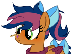 Size: 1131x854 | Tagged: safe, artist:steam-loco, oc, oc only, oc:solar comet, pegasus, pony, bandaid, bandaid on nose, bow, cookie, cute, disguise, disguised changedling, eyelashes, feathered wings, food, male, messy mane, pegasus oc, show accurate, simple background, solo, tail bow, transparent background, two toned mane, two toned tail, two toned wings, vector, wings