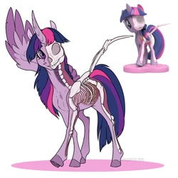 Size: 1200x1200 | Tagged: safe, artist:dementra369, twilight sparkle, alicorn, pony, freeny's hidden dissectibles, g4, anatomy, bone, dissectibles, female, organs, skeleton, skinny, slender, solo, thin, thin legs, toy interpretation, twilight sparkle (alicorn)