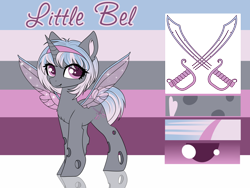 Size: 4000x3000 | Tagged: safe, artist:kxttponies, oc, oc only, oc:little bel, changepony, hybrid, pony, female, high res, reference sheet, solo