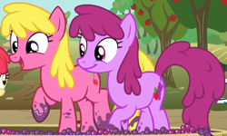 Size: 2564x1543 | Tagged: safe, screencap, apple bloom, berry punch, berryshine, cherry berry, earth pony, pony, g4, on your marks, background pony, berrybetes, cherrybetes, cropped, cute, duo, duo focus, female, food, grape stomping, grapes, mare, offscreen character, open mouth, stomping